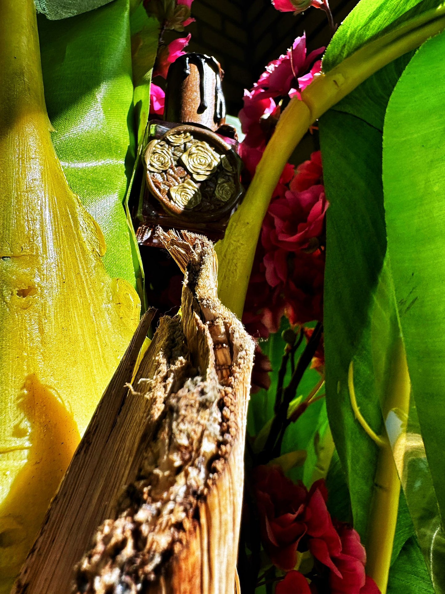 Flowers in The Jungle XDP