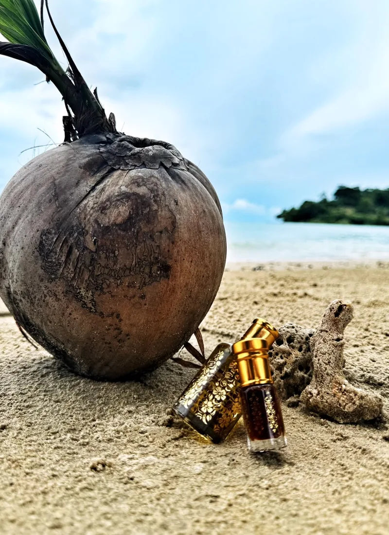 Was der Strand hergibt