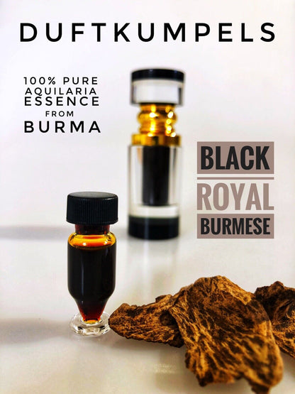 Oud Black Royal Burmese