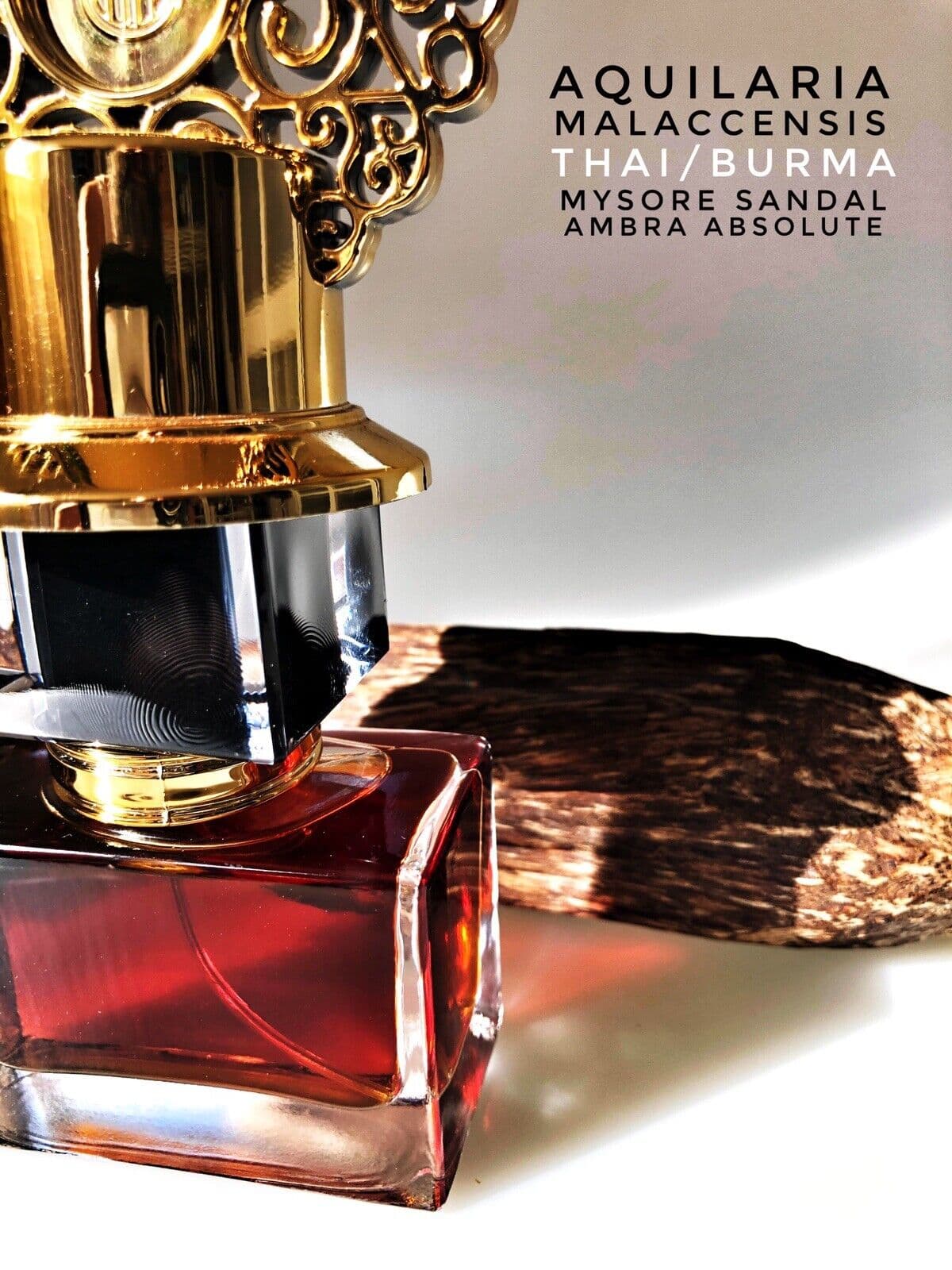Ambre Oud Royale XDP – Oud Niche Parfum Detail 7