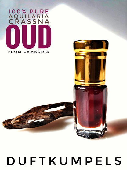 Oud Sultan Suifi Cambodi 2008