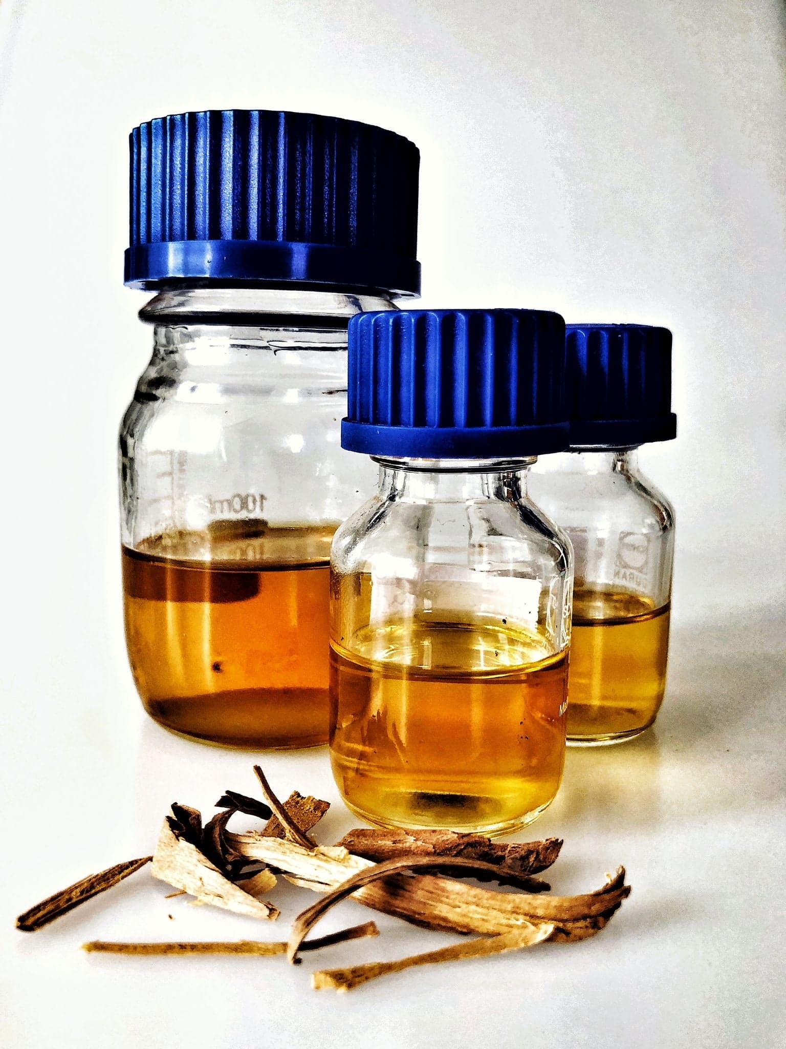 Mysore Sandalwood Santalum Album